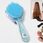 Hair Brush Massage Shower Comb Soft Bristles for Wet and Dry Hair, Detangling, and Scalp Massage, Fun and Functional Design (1 Pc ) - Image 3