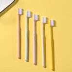 Plastic Toothbrush With Plastic Round Box (20 pcs Set) - Image 4